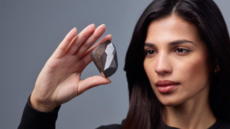 You Can Purchase The Largest Diamond Ever Auctioned—A 555 Carat Black Gem—With Crypto (Photographs)