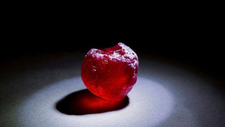 UAE: Extraordinarily uncommon 101-carat ruby unveiled in Dubai – Information