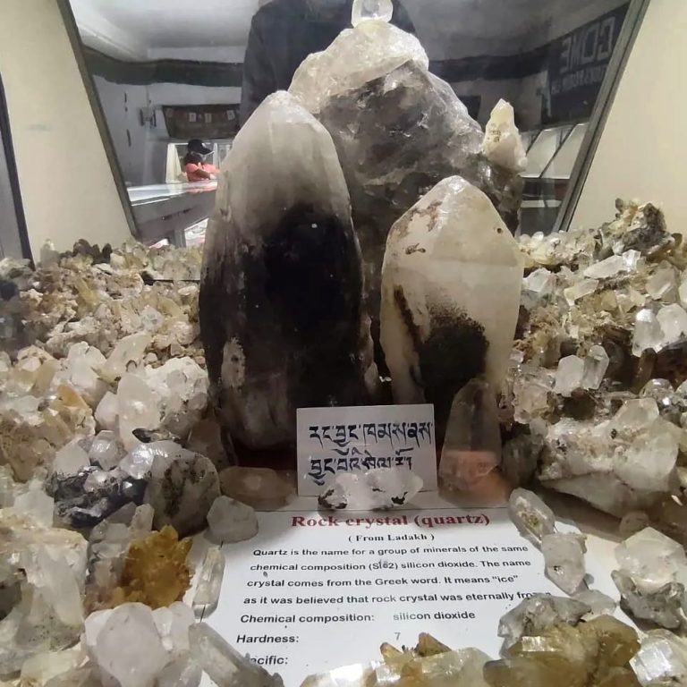 ‘Rocks, minerals, fossils’: New Ladakh museum brings trans-Himalayan treasures beneath one roof