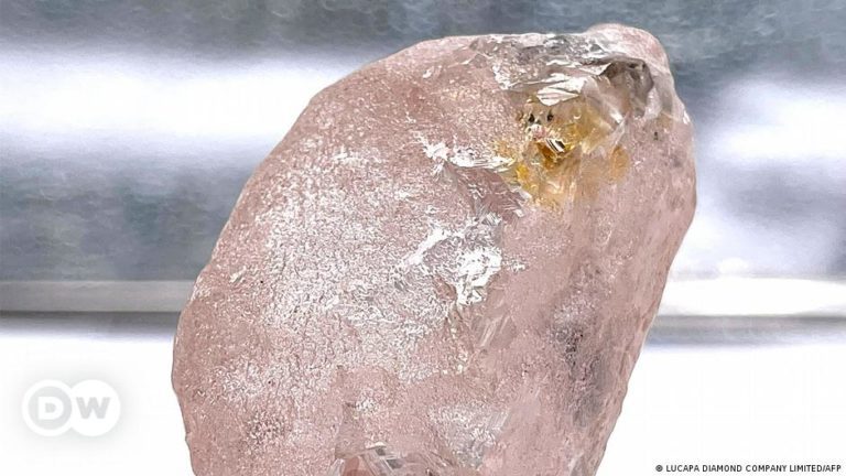 Big pink diamond Lulo Rose present in Angola | Information | DW