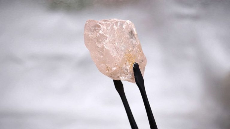 Uncommon pink diamond unearthed in Angola could also be largest present in 300 years