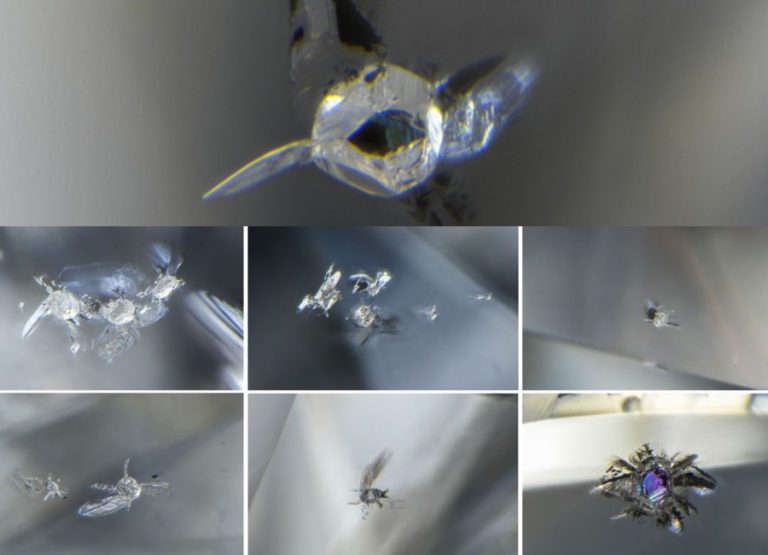 Diamond reveals new particulars of Earth’s inside