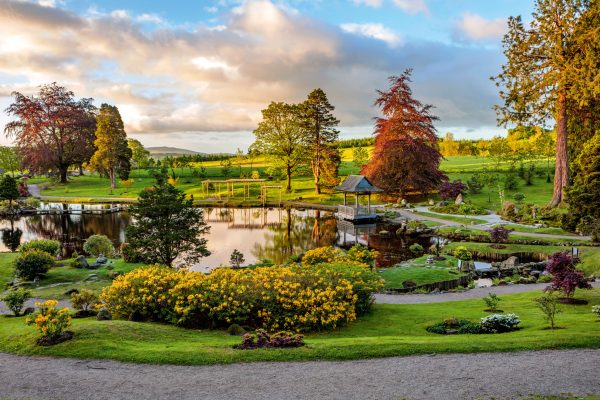 The Japanese Backyard at Cowden: An iconic Oriental backyard within the coronary heart of Clackmannanshire