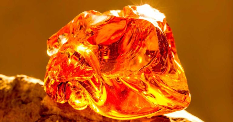 Amber By the Ages: Origin Myths, Medical Makes use of, and Stunning Baubles