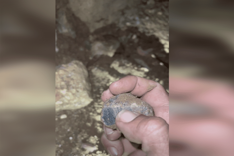 Aussie specker finds large gemstone on night stroll