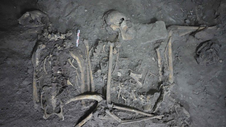 Brutally sacrificed historical spider monkey unearthed and scientists assume its proof of a 700-year-old-pact