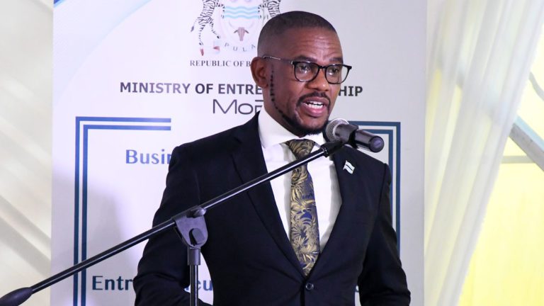 Inside Ministry of Entreprenuership’s blueprint » TheVoiceBW