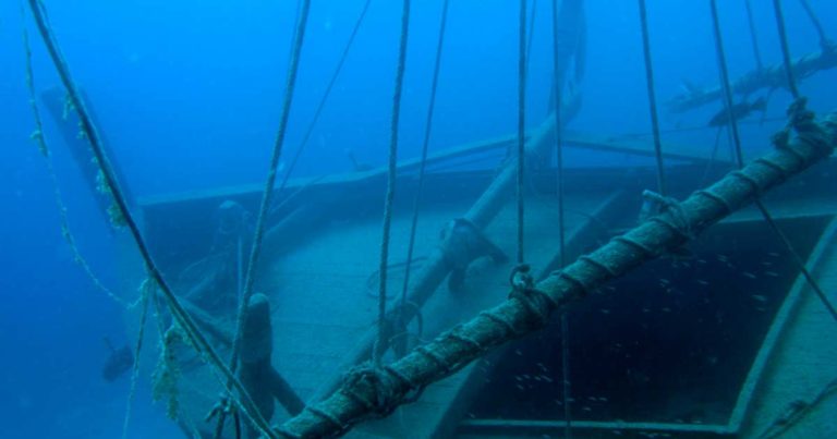 Uluburun Shipwreck: New Examine Traces the Tin that Cast Empires