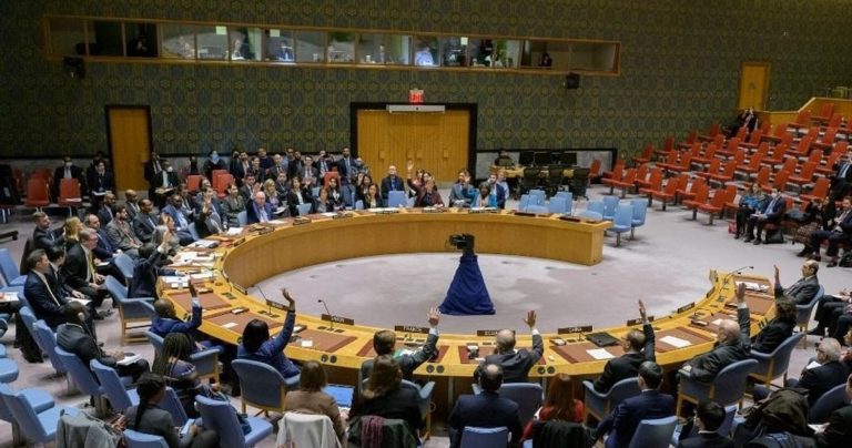 UNSC confirms re-authorisation of cross-border assist deliveries to Syria