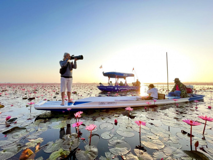 The lotus sea