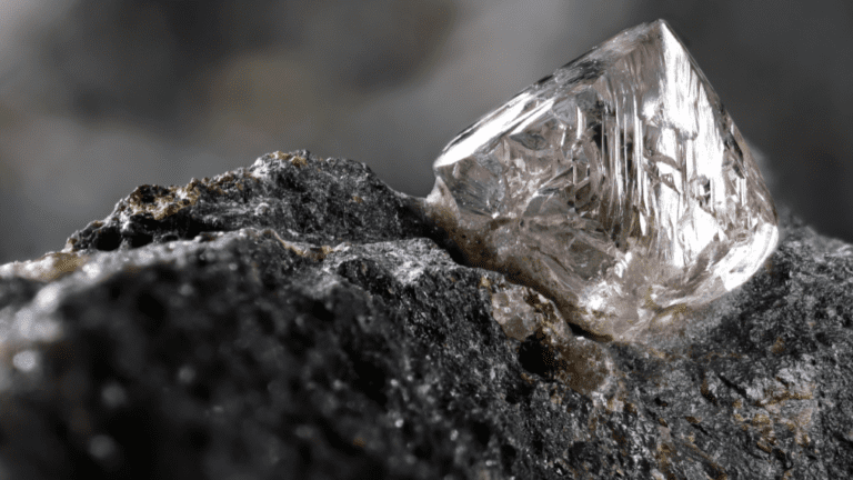 Fosun weighs sale of Belgian diamond-grading agency IGI