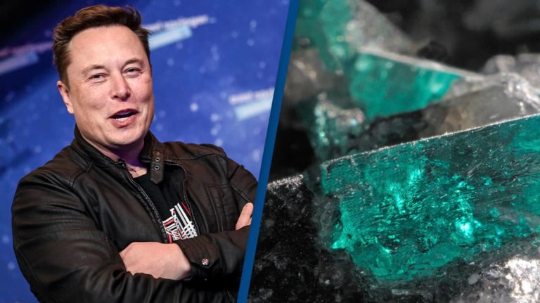 Elon Musk denies his household’s emerald mine ever existed